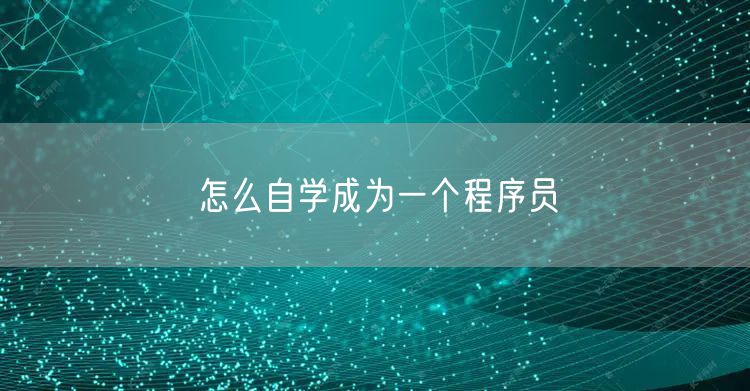 怎么自学成为一个程序员