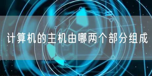 计算机的主机由哪两个部分组成