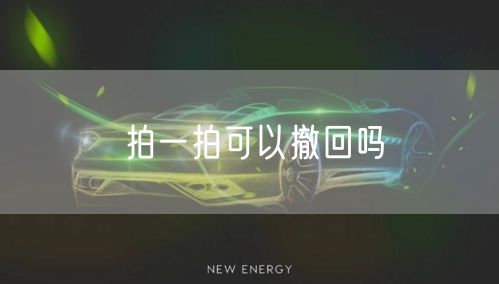 拍一拍可以撤回吗