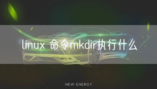 linux 命令mkdir执行什么