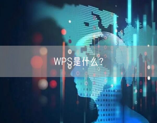 WPS是什么？
