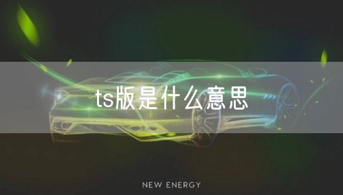 ts版是什么意思