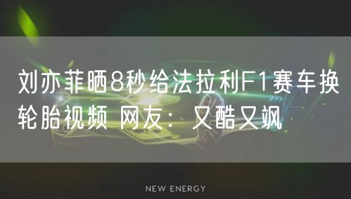 刘亦菲晒8秒给法拉利F1赛车换轮胎视频 网友：又酷又飒
