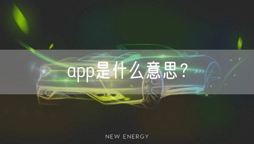 app是什么意思？