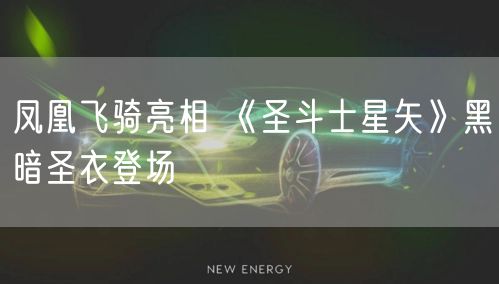 凤凰飞骑亮相 《圣斗士星矢》黑暗圣衣登场