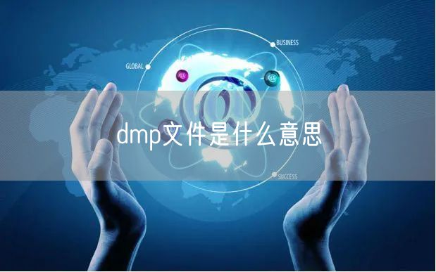 dmp文件是什么意思
