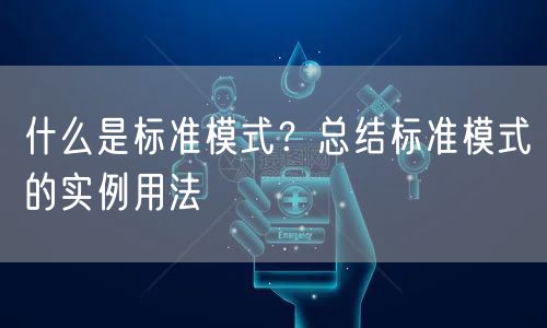 什么是标准模式？总结标准模式的实例用法