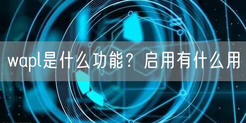 wapl是什么功能?启用有什么用
