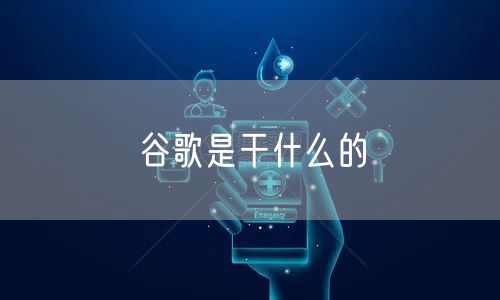 谷歌是干什么的