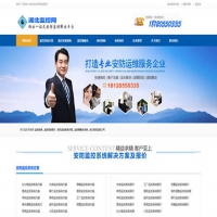 安防监控行业网站建设开发案例，湖北监控网制作介绍