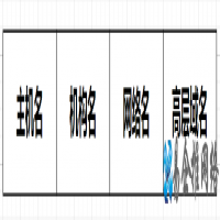 什么是DNS域名系统，什么是本地DNS?