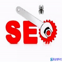 蜘蛛池是什么，蜘蛛池在seo收录排名中的作用及搭建方法