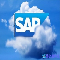 信息管理系统：SAP系统