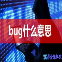 什么是BUG，BUG如何解决