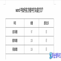 word怎么打勾？word打勾方法教程
