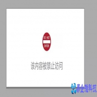 防屏蔽网址什么意思，10种访问被屏蔽网址的方法