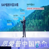 SAP是什么意思(SAP是什么公司财务软件)?
