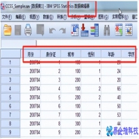 spss是什么软件，spss软件介绍