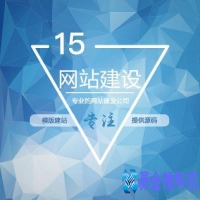 网站推广技术转换运用合理性（网站推广站长多维度思维总结）