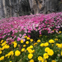 光圈大小有什么区别？光圈大小的区别