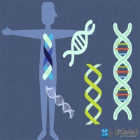 网上说吃了脱氧核糖什么梗