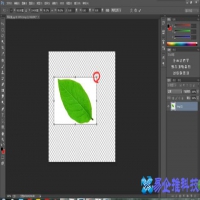ps怎么调整图层大小，ps调整图层大小教程