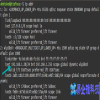linux怎么查看ip，linux查看ip地址的方法