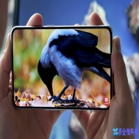 直板手机有哪些？直板手机排行榜