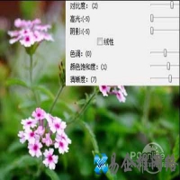 raw是什么意思？raw文件怎么打开