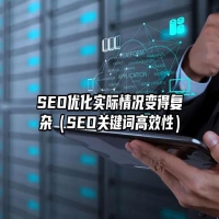 SEO优化实际情况变得复杂（SEO关键词高效性）