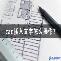 cad插入文字怎么操作？cad插入文字教程