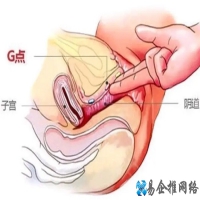 什么是G点,G点位置在哪,怎样寻找女人g点让她达到高潮？