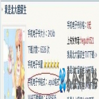 iBook支持什么格式