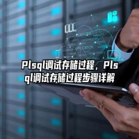 Plsql调试存储过程，Plsql调试存储过程步骤详解