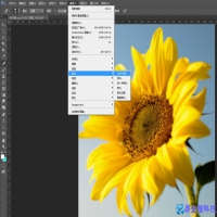 ps怎么把图片变清晰？ps提高图片清晰度方法教程