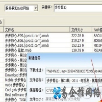 P2P种子搜索器怎么用