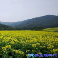 ps局部调亮怎么弄，ps局部调亮操作方法