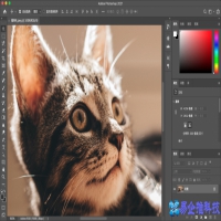 ps怎么放大？ps放大方法教程