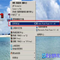 swf文件是什么，swf文件怎么打开