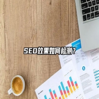 SEO效果如何检测？