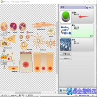 矢量图格式文件有哪些，PS怎么把图片做成矢量图格式？