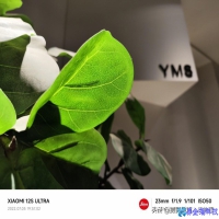 照片怎么加水印？照片加水印方法教程