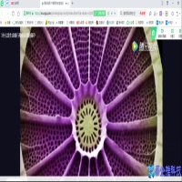 如何下载视频到电脑？下载视频到电脑方法