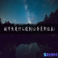 副市长是什么级别(省市县副市长是什么级别)