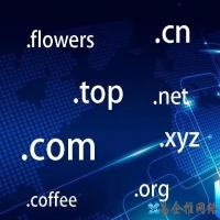 申请域名注册需要注意哪些事项，关于域名注册知识大全