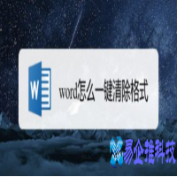 word格式清除在哪里，word格式清除的5种方法