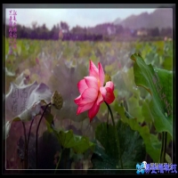 ps虚化怎么用，ps虚化图片教程【图文详解】