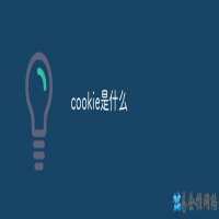 cookie什么意思？