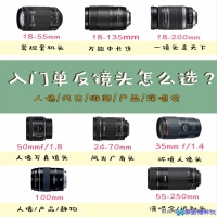 单反入门镜头有哪些？单反入门镜头推荐