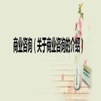 商业咨询是什么意思(关于商业咨询的介绍)